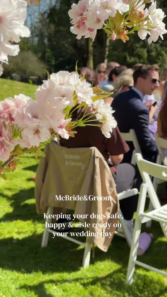 Post 7 by mcbrideandgroom on TikTok (video)
