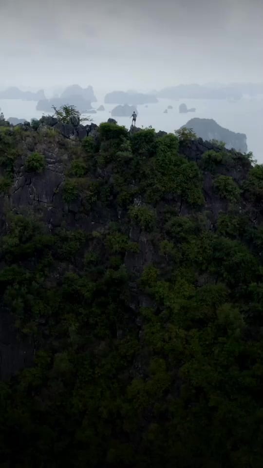Post 10 by Alexis Pifou on TikTok (video)