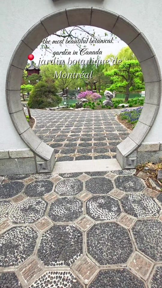 Post 8 by Sandra/Mtl/canada 🇨🇦🇩🇴 on TikTok (video)