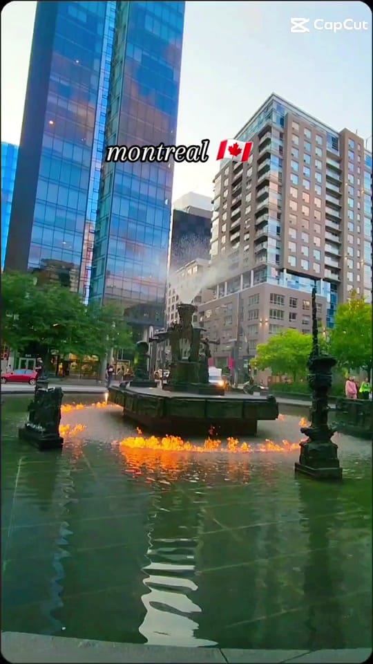 Post 10 by Sandra/Mtl/canada 🇨🇦🇩🇴 on TikTok (video)