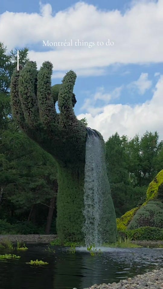 Post 7 by Sandra/Mtl/canada 🇨🇦🇩🇴 on TikTok (video)