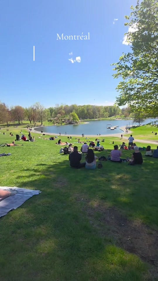 Post 4 by Sandra/Mtl/canada 🇨🇦🇩🇴 on TikTok (video)