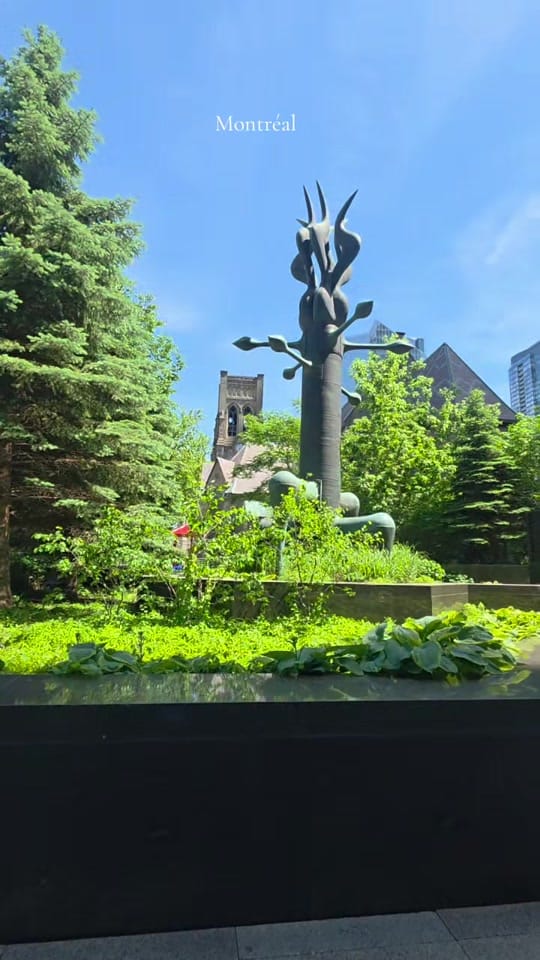 Post 1 by Sandra/Mtl/canada 🇨🇦🇩🇴 on TikTok (video)