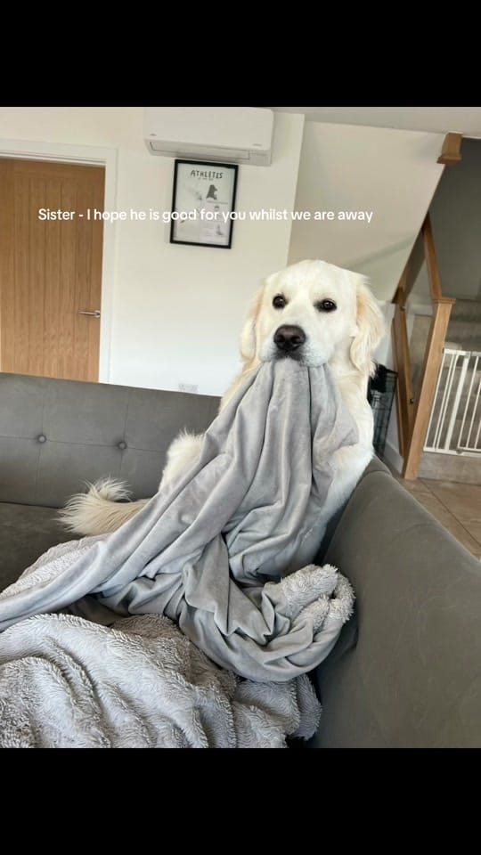 Post 1 by April🤍 on TikTok (video)