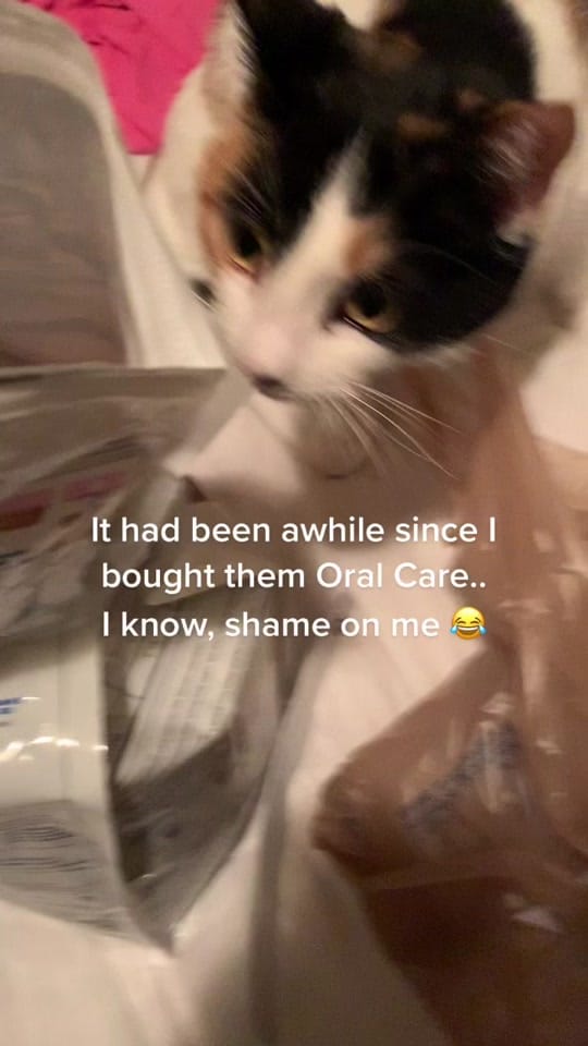 Post 2 by Melanie Levesque on TikTok (video)