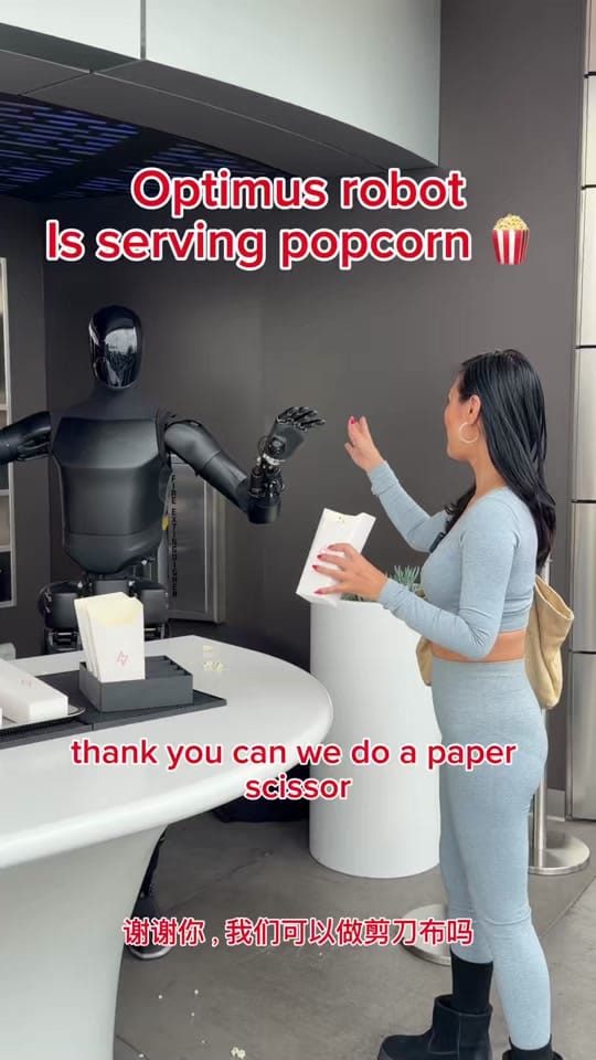 Post 8 by catce on TikTok (video)