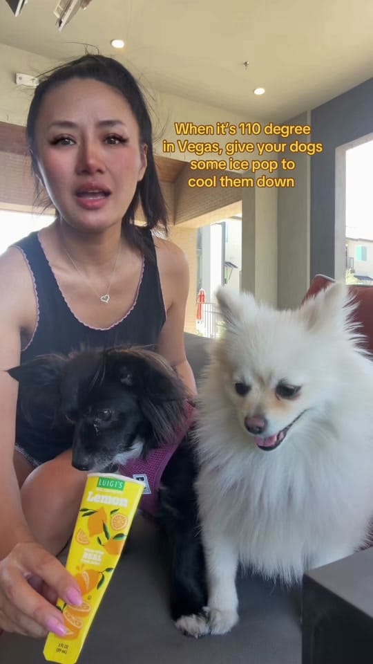 Post 2 by catce on TikTok (video)