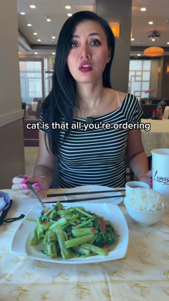 Post 3 by catce on TikTok (video)