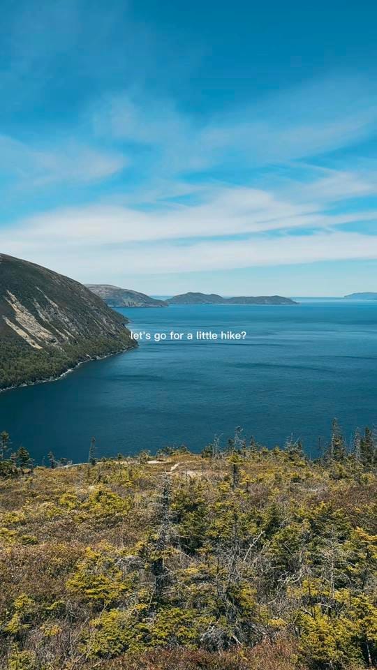 Post 4 by Pages From My Notebook on TikTok (video)