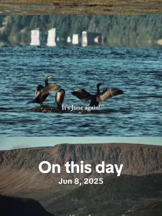 Post 3 by Pages From My Notebook on TikTok (video)