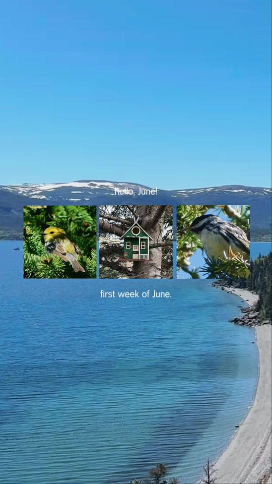 Post 5 by Pages From My Notebook on TikTok (video)