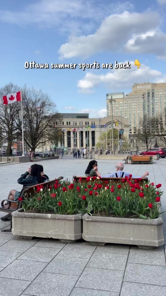 Post 7 by Kat 🇨🇦 | Ottawa Creator on TikTok (video)