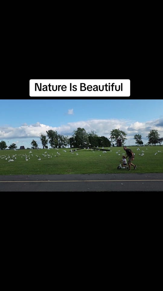 Post 3 by Umair Naushahi 🇵🇰🇨🇦 on TikTok (video)
