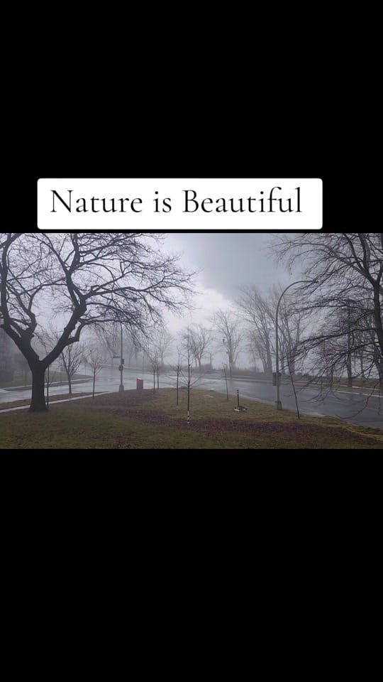 Post 4 by Umair Naushahi 🇵🇰🇨🇦 on TikTok (video)