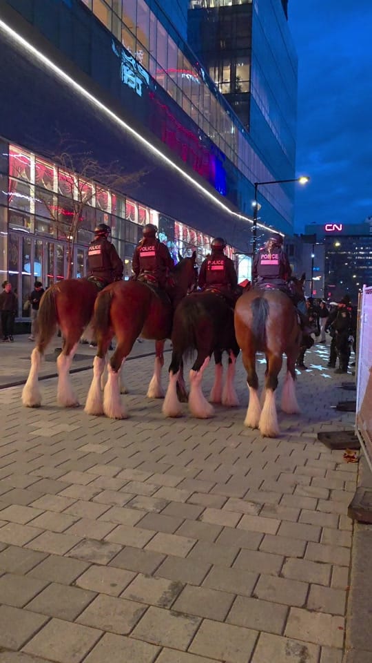 Post 1 by Umair Naushahi 🇵🇰🇨🇦 on TikTok (video)