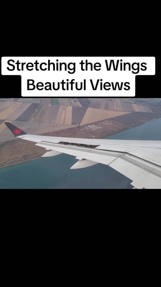 Post 10 by Umair Naushahi 🇵🇰🇨🇦 on TikTok (video)