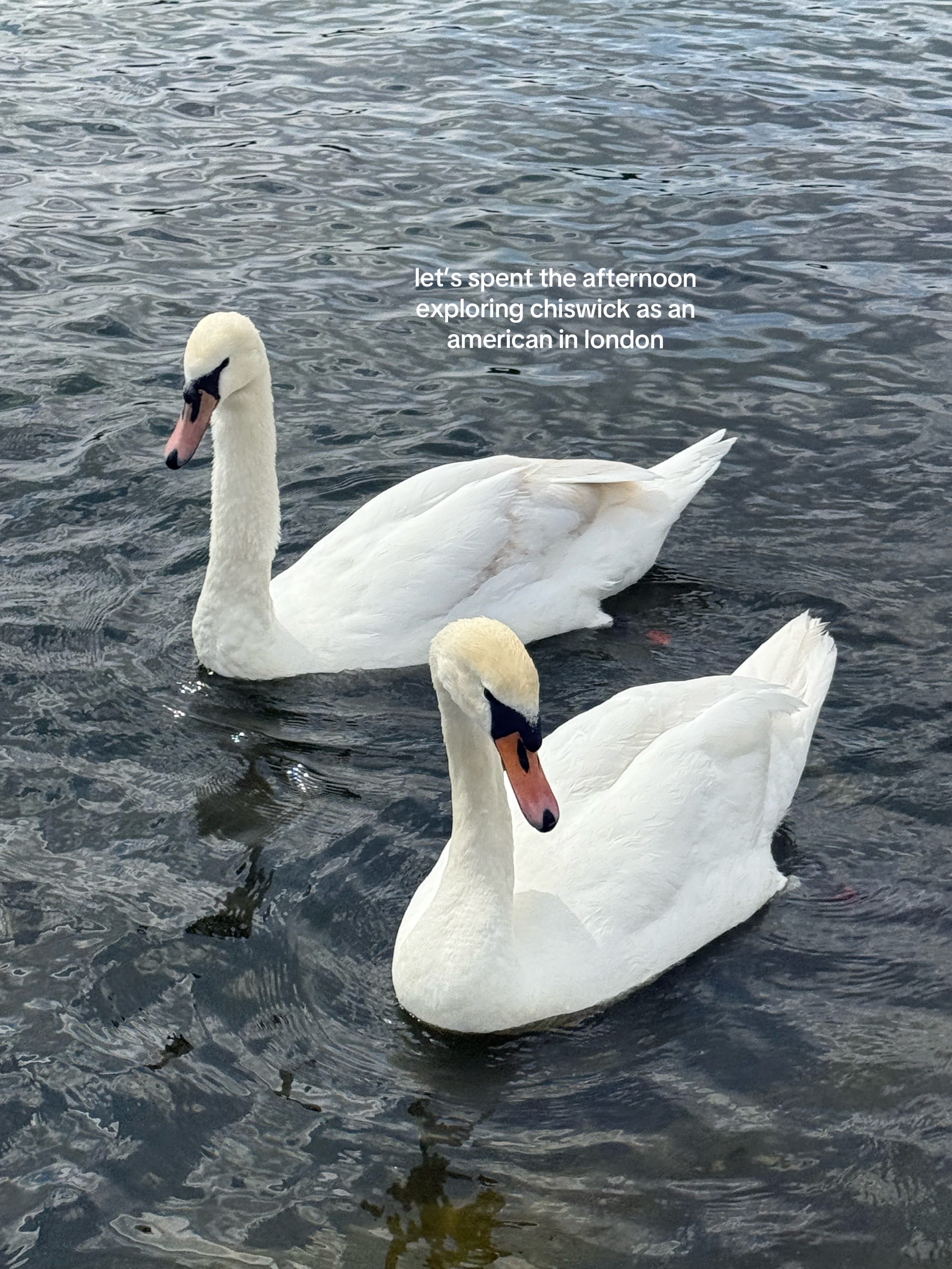 Post 8 by keale on TikTok (video)