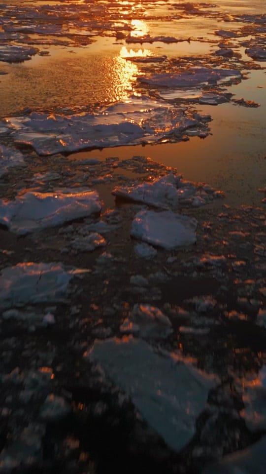Post 2 by Laurean Tardif on TikTok (video)
