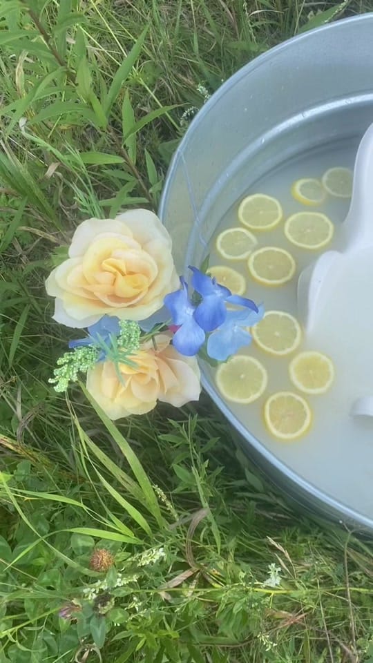 Post 2 by Tabetha Marie on TikTok (video)