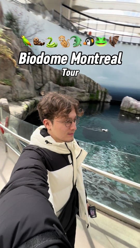 Post 10 by borabora on TikTok (video)