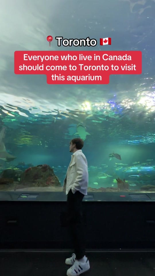 Post 8 by borabora on TikTok (video)
