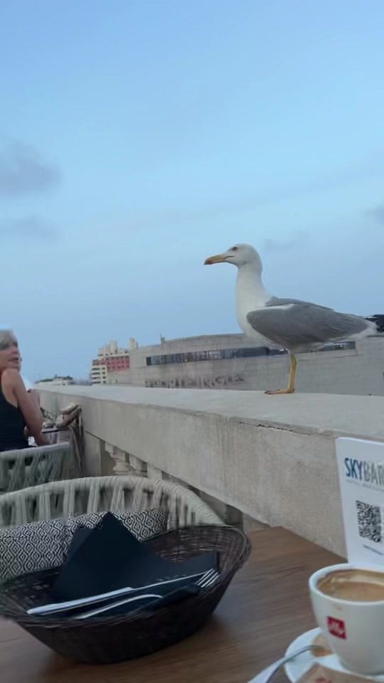 Post 7 by Mare_is1 on TikTok (video)