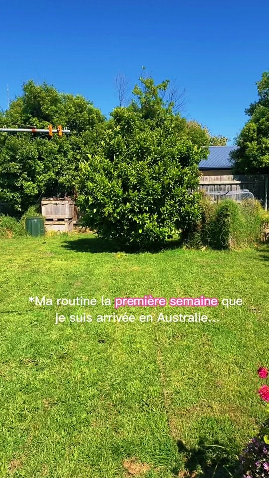 Post 4 by Valerie Moisan on TikTok (video)