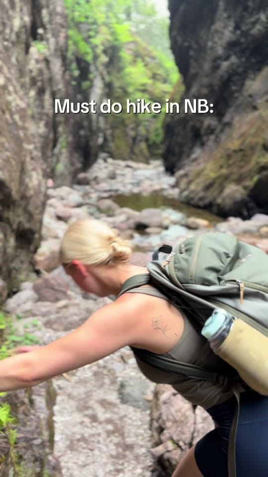 Post 8 by Nat LaPlante 🌿🇨🇦 on TikTok (video)