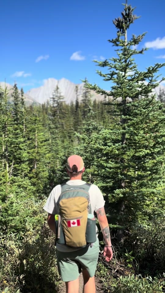Post 6 by Nat LaPlante 🌿🇨🇦 on TikTok (video)