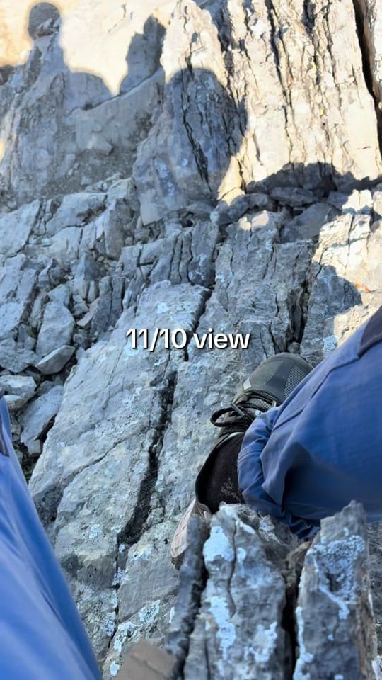 Post 1 by Nat LaPlante 🌿🇨🇦 on TikTok (video)
