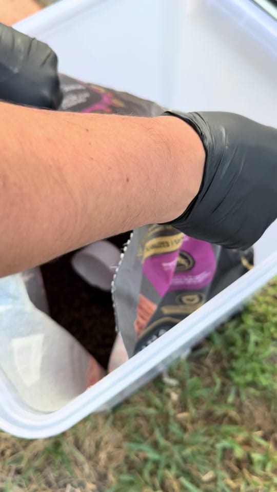 Post 3 by Valentina | WBSAHM Mom on TikTok (video)