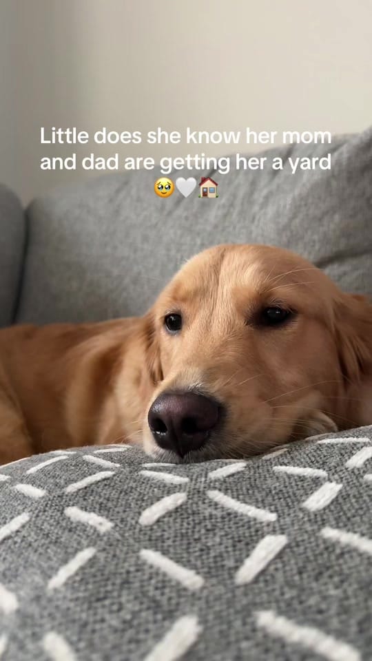 Post 2 by Janey Wilson on TikTok (video)