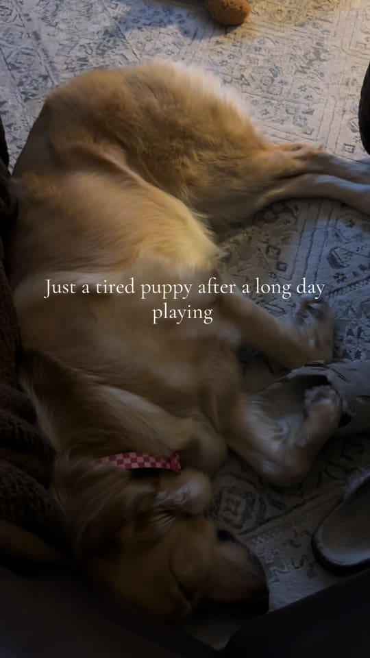 Post 1 by Janey Wilson on TikTok (video)