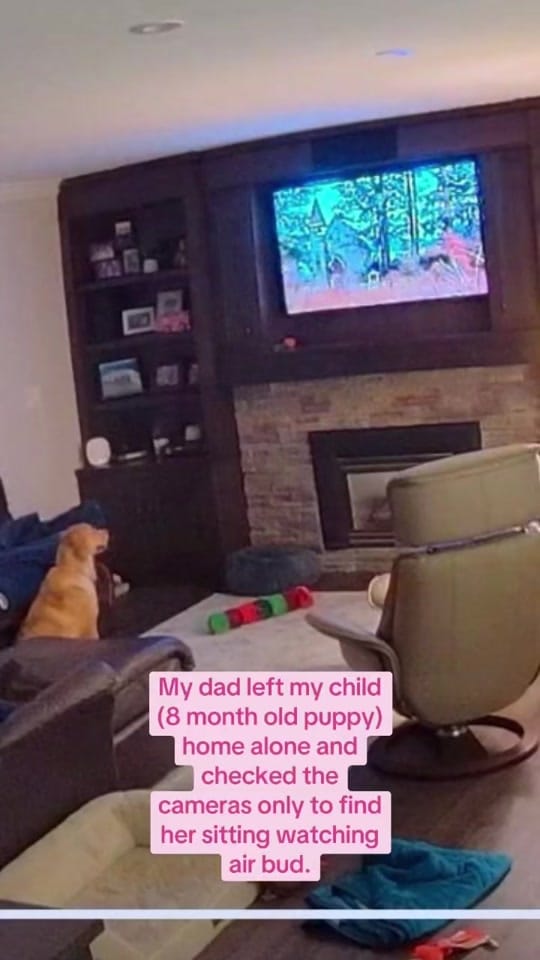 Post 5 by Janey Wilson on TikTok (video)