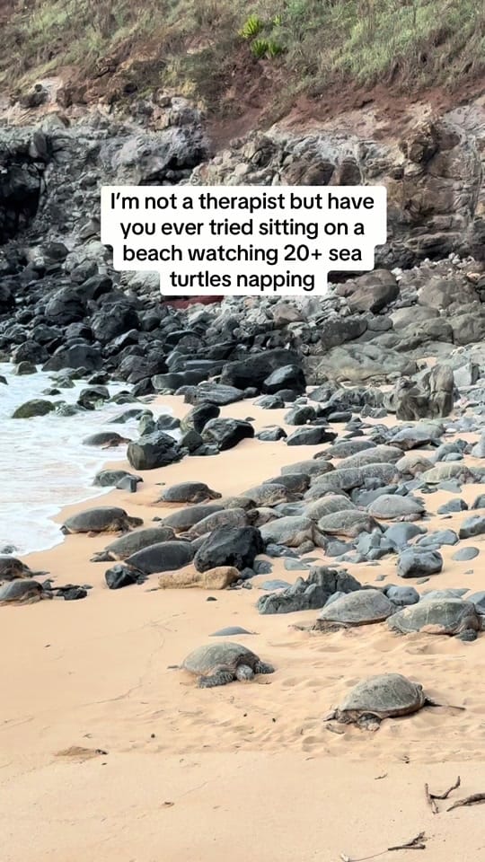 Post 9 by Janey Wilson on TikTok (video)