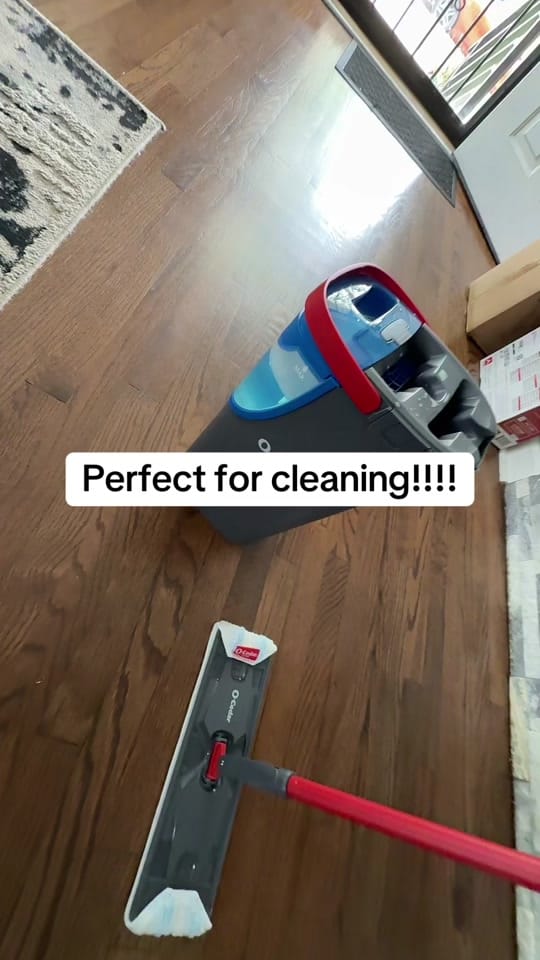 Post 3 by ShonaJae on TikTok (video)