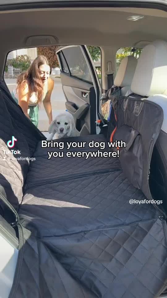 Post 2 by Loya Crafts on TikTok (video)