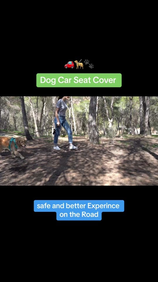 Post 6 by Loya Crafts on TikTok (video)