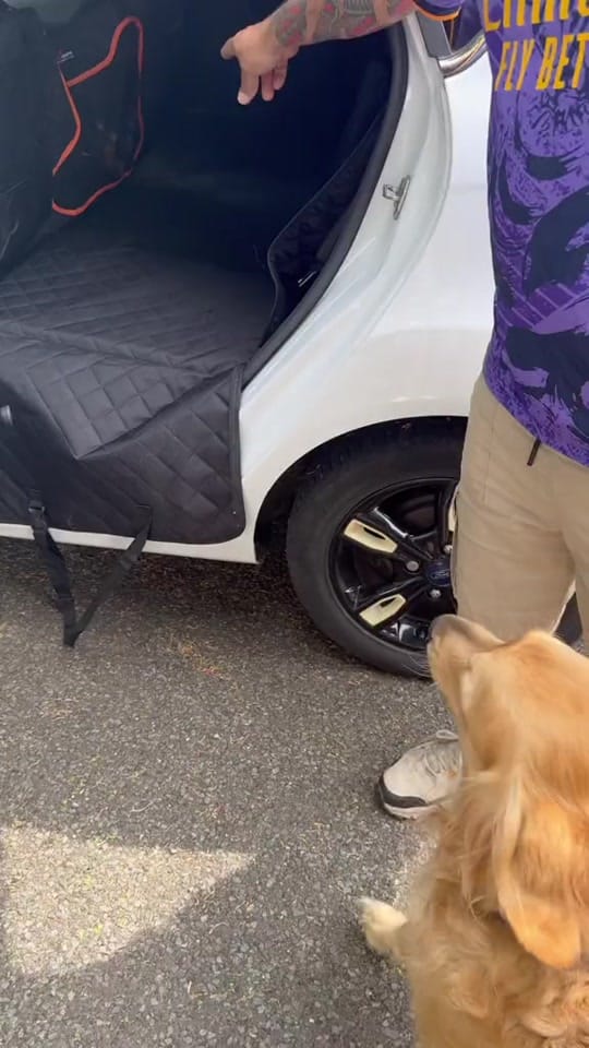 Post 7 by Loya Crafts on TikTok (video)