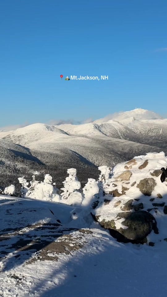 Post 10 by Shaelyn on TikTok (video)
