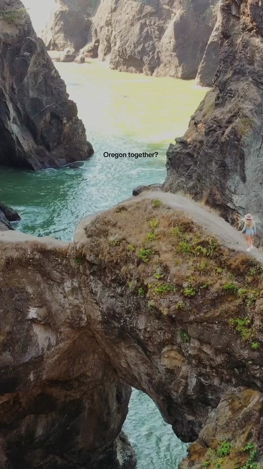 Post 8 by Shaelyn on TikTok (video)
