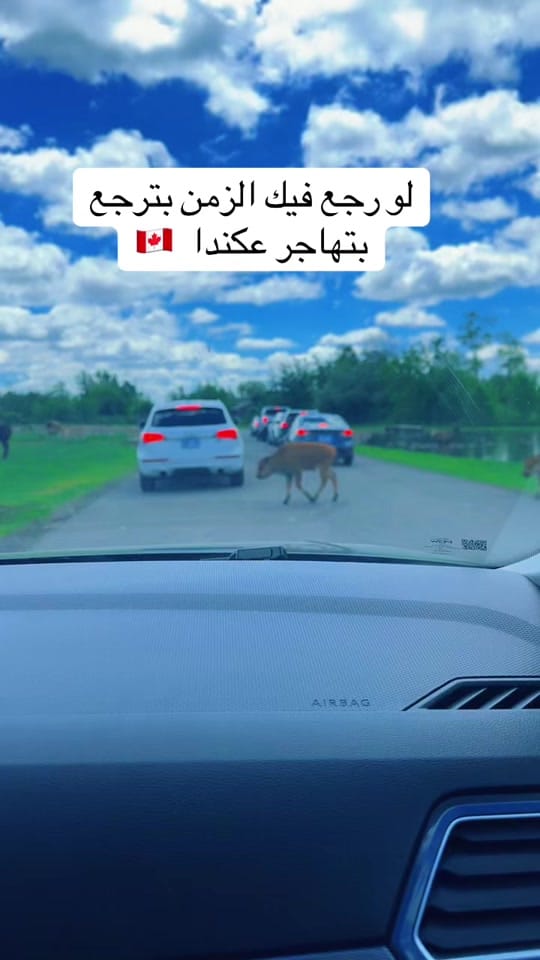 Post 2 by 🧿 شيرين قطان on TikTok (video)