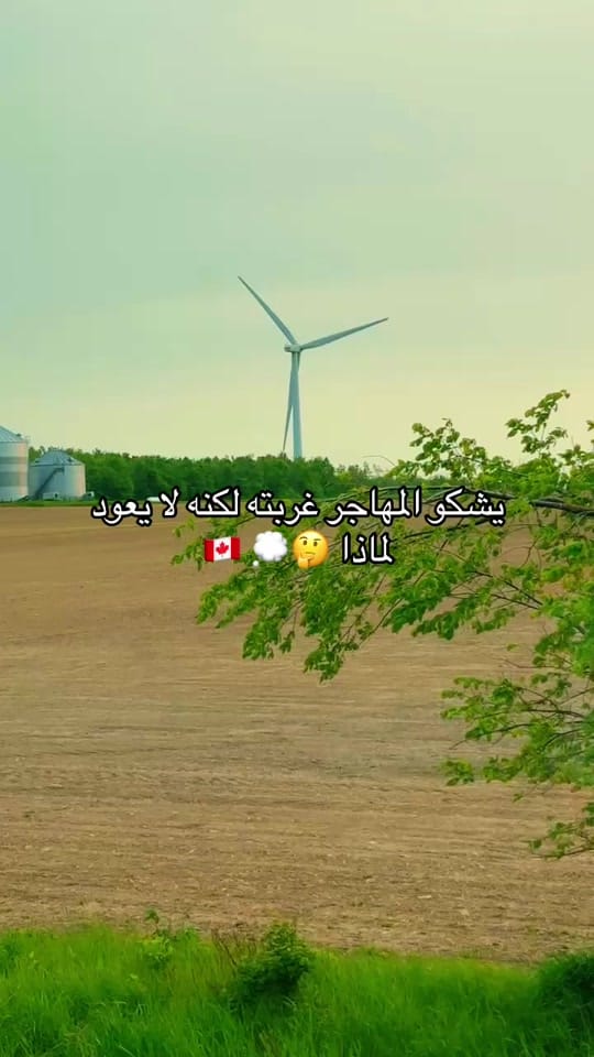 Post 5 by 🧿 شيرين قطان on TikTok (video)