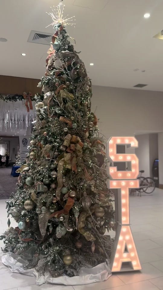 Post 8 by Chelsea |Content Creator CA MS on TikTok (video)