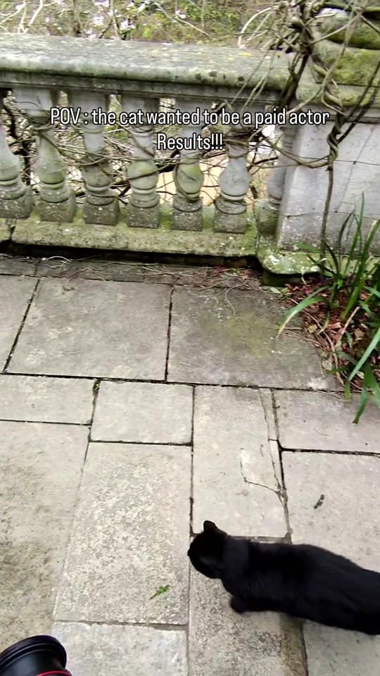 Post 3 by mariella.photography on TikTok (video)