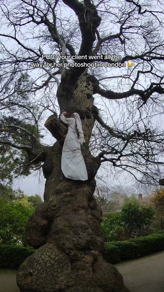 Post 2 by mariella.photography on TikTok (video)