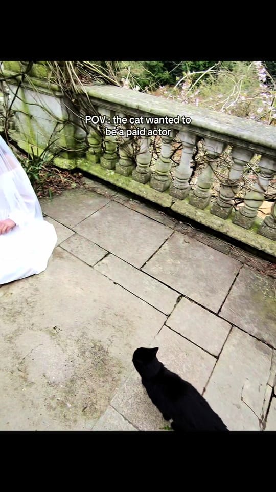 Post 4 by mariella.photography on TikTok (video)