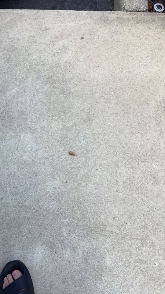 Post 2 by Scotticus Comedy on TikTok (video)