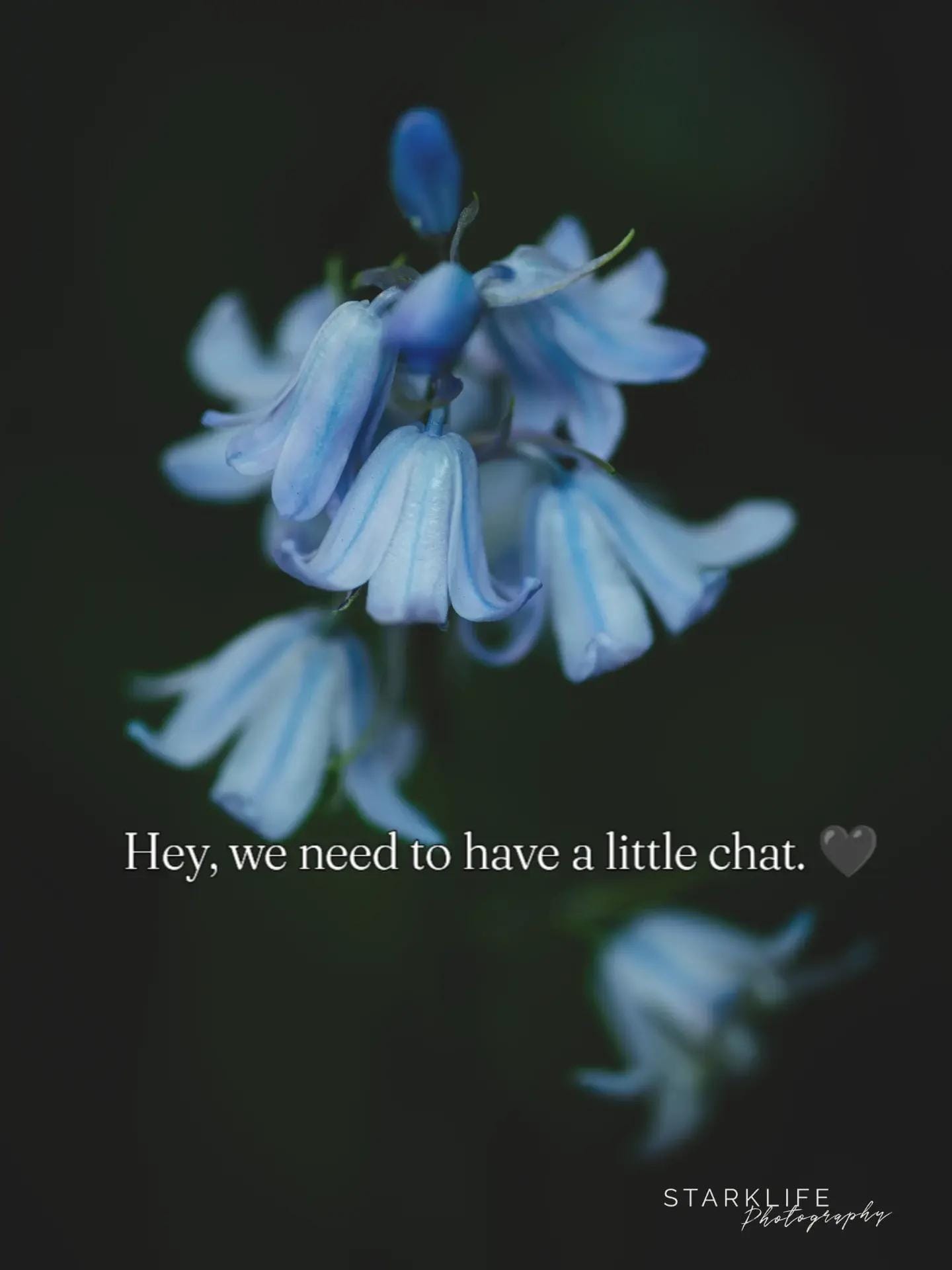 Post 8 by Niki | Fantasy Portraits ✨ on TikTok (video)