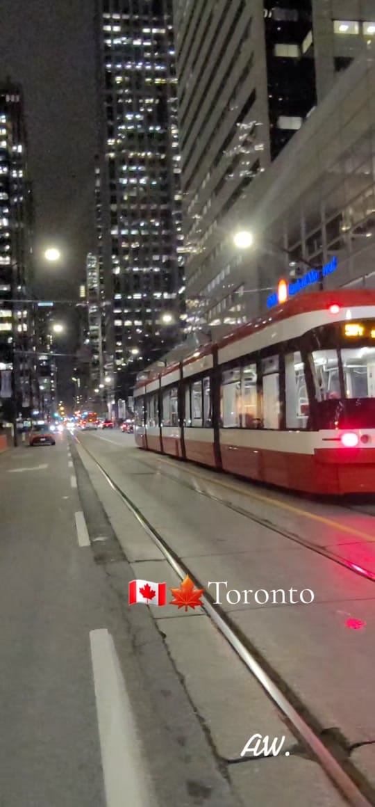 Post 8 by Aneta Wozniak on TikTok (video)